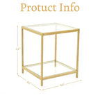 20 in. Square 2-Tier Tempered Glass End Table, Side Accent Table with Metal Frame for Living Room or Bedroom
