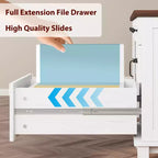 Executive Desk with File Drawers, Farmhouse Home Office Desk with Charging Station, 60 Wooden Computer Desk with Cabinet Storage for Work Study